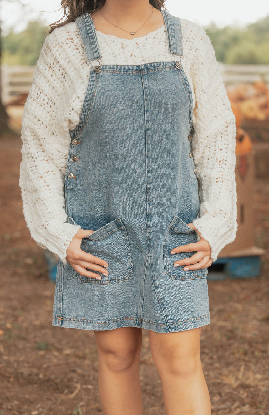 Denim Overall Dress