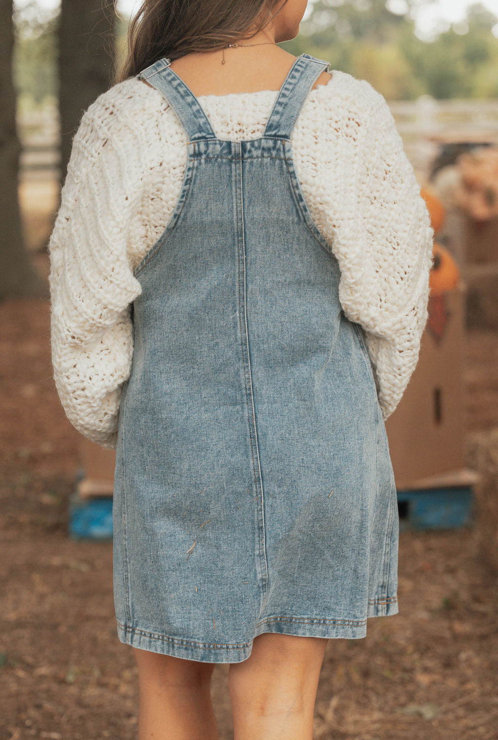 Denim Overall Dress