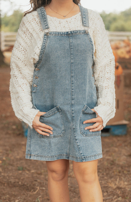 Denim Overall Dress