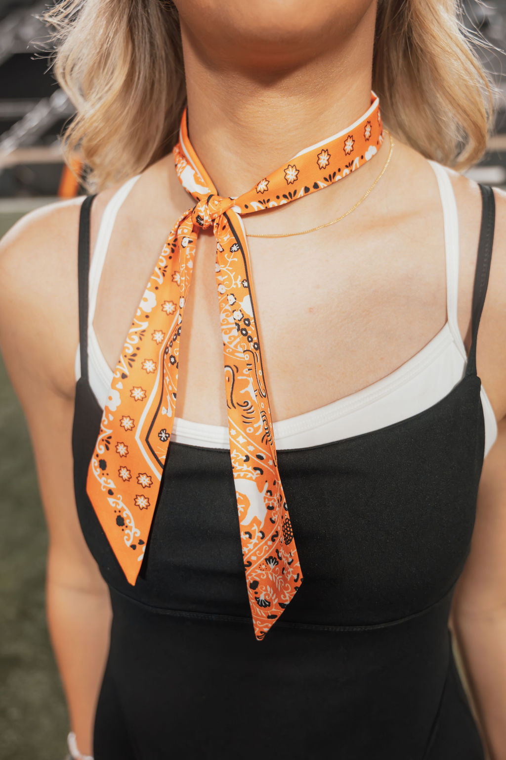 Paisley Twilly Scarf